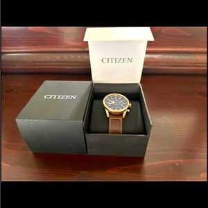 Citizens Avion Watch